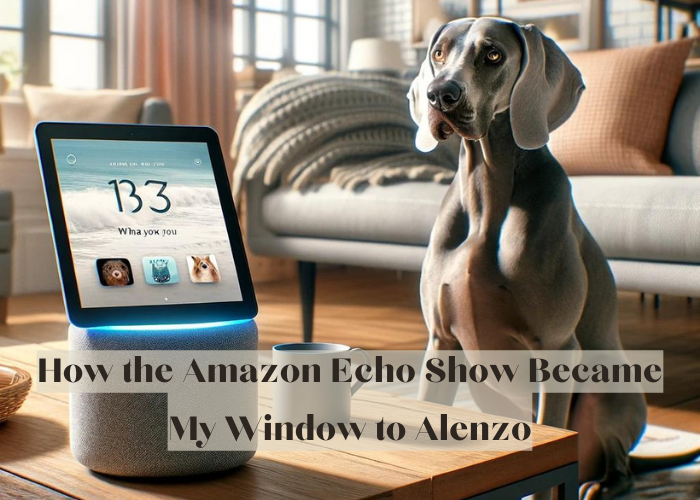 You are currently viewing A Surprising Helper: My Journey with Alenzo and the Amazon Echo Show